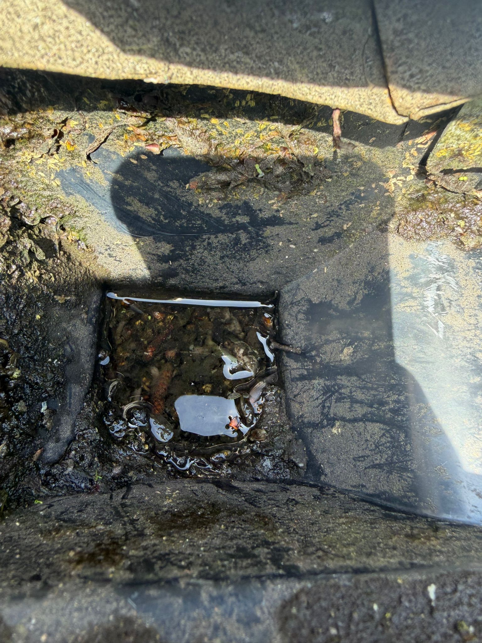 Before &ndash; a gutter outlet blocked with silt and standing water.