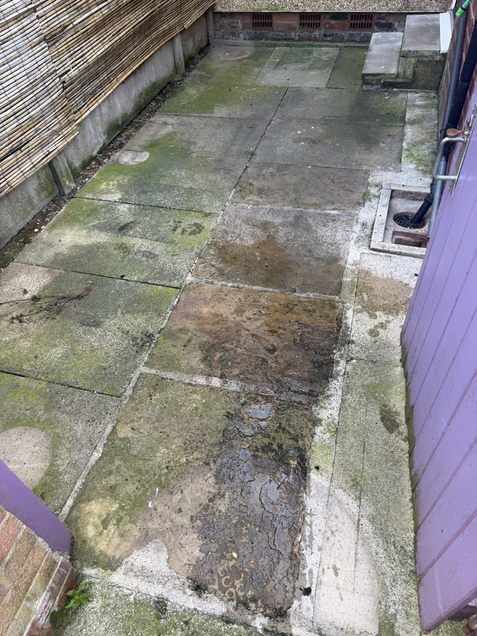 Before – green, mossy flagstones restored with a gentle, low-pressure wash.